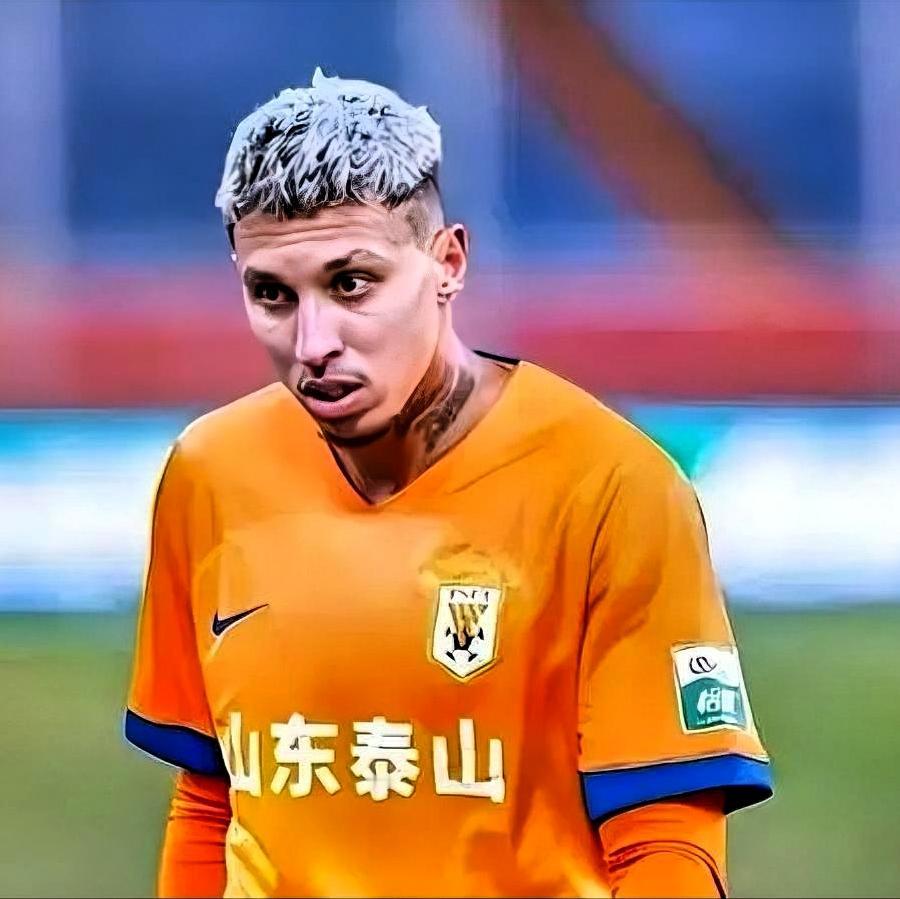 山东泰山问题优先级+分阶段整改调整方案一、问题优先级排序（从最紧急→最根本