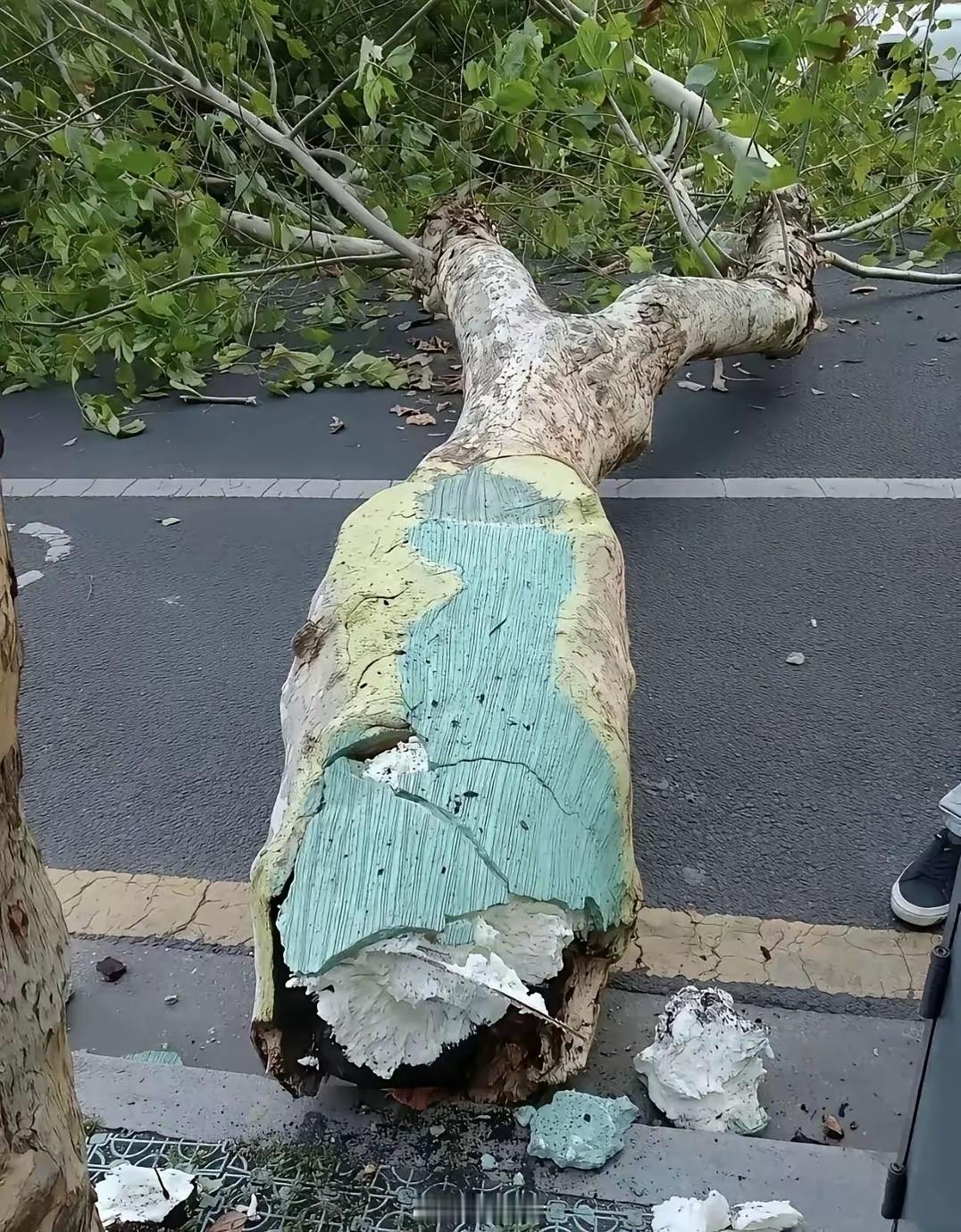 现在还有什么是真的