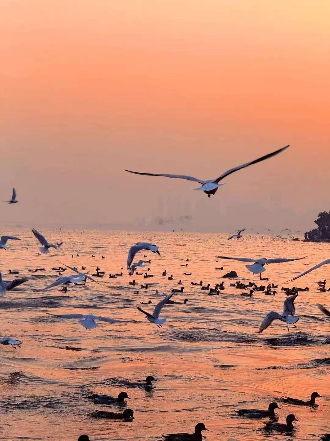 《增广贤文》中说：“贪他一斗米，失却半年粮。”贪小便宜的人，最终往往会吃大亏。