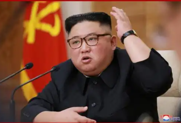 金正恩发言引发关注，朝俄同盟引起网友猜测2025年8月15日，朝鲜领导人金正恩