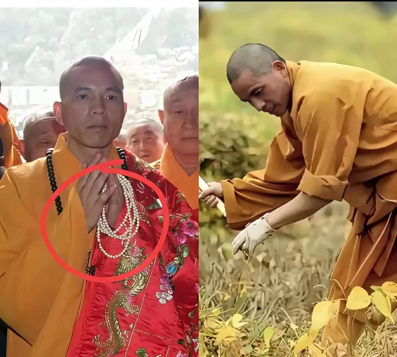 印乐法师接管少林寺以后，看到寺庙周围的山上有很多可以耕种的土地荒着觉得太可惜。于