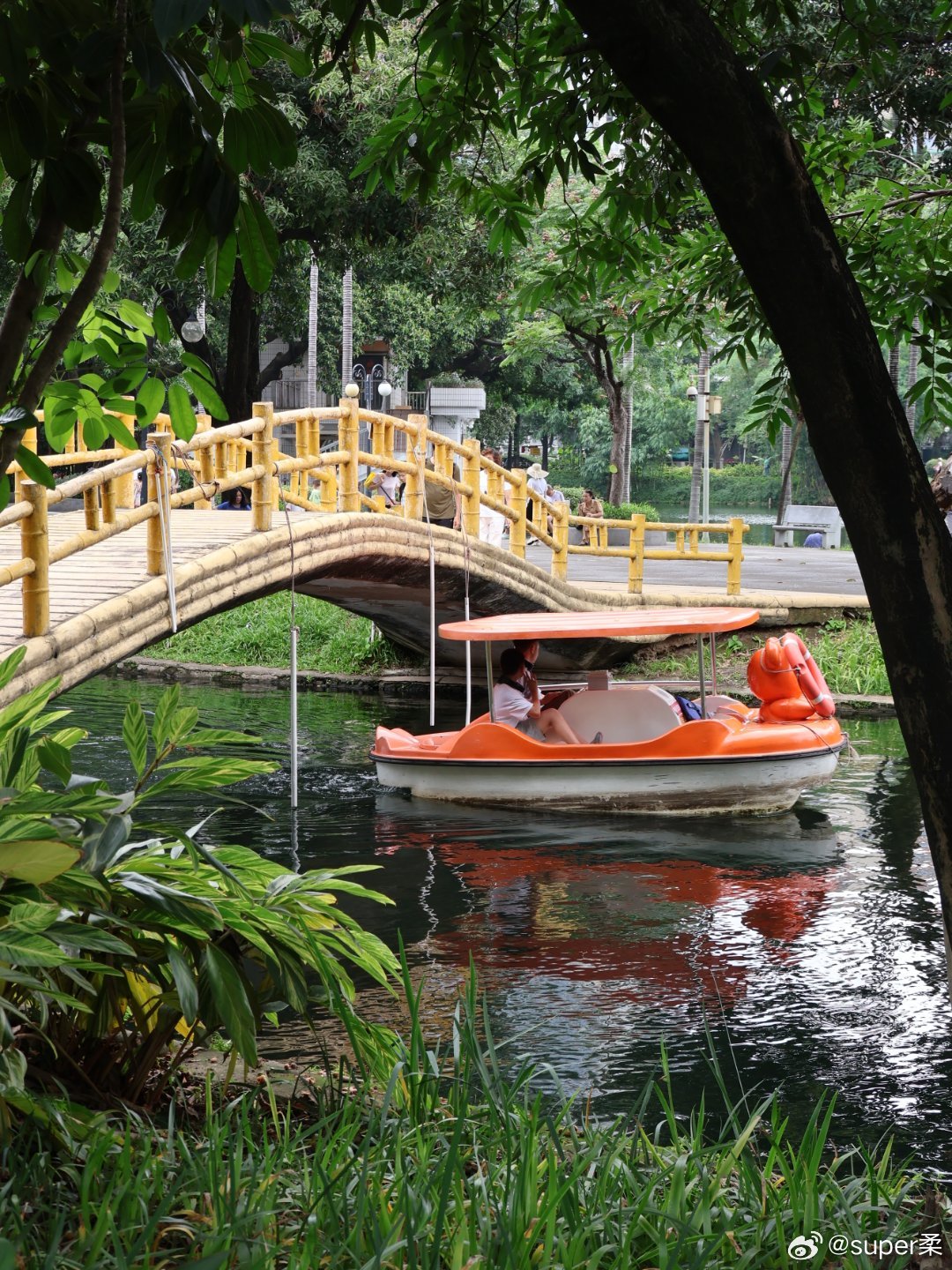 广州海珠区城市绿洲｜古风园林出片路线📸 不用去远方！广州晓港公园藏着岭南古风园