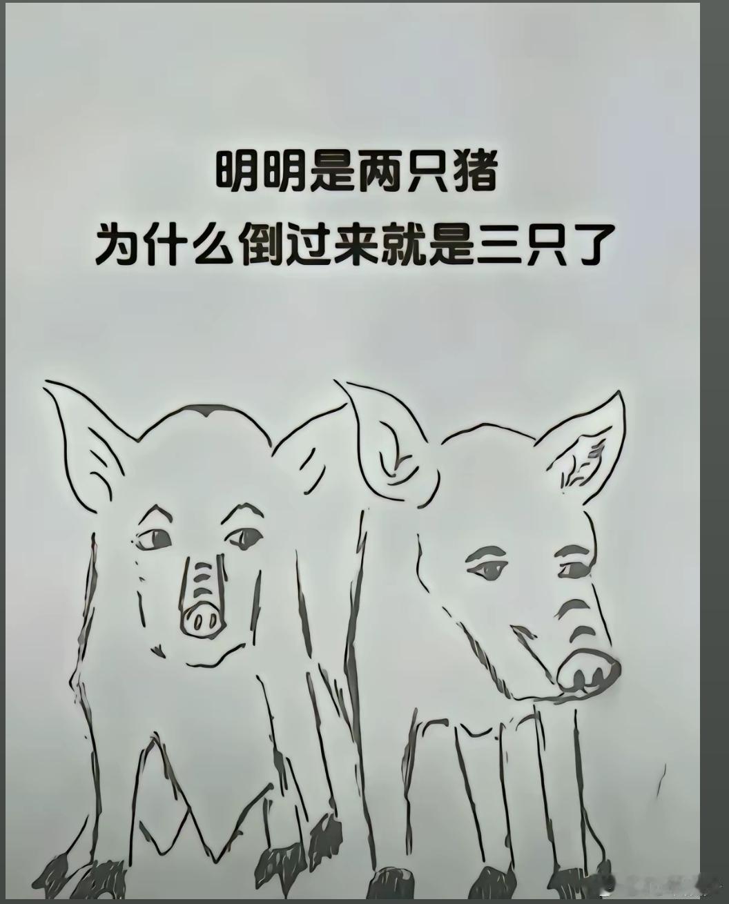 明明是两只猪，怎么倒过来变三只了？