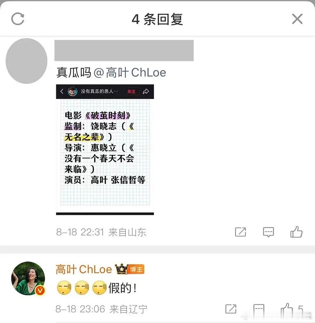 高叶也辟谣这个电影了，🥟又翻车了​​​