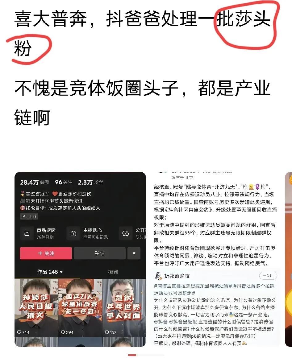 赞成处理一批利用樊振东热度和莎头热度拉踩引战的饭圈。但是把他们说成是“莎头粉”，