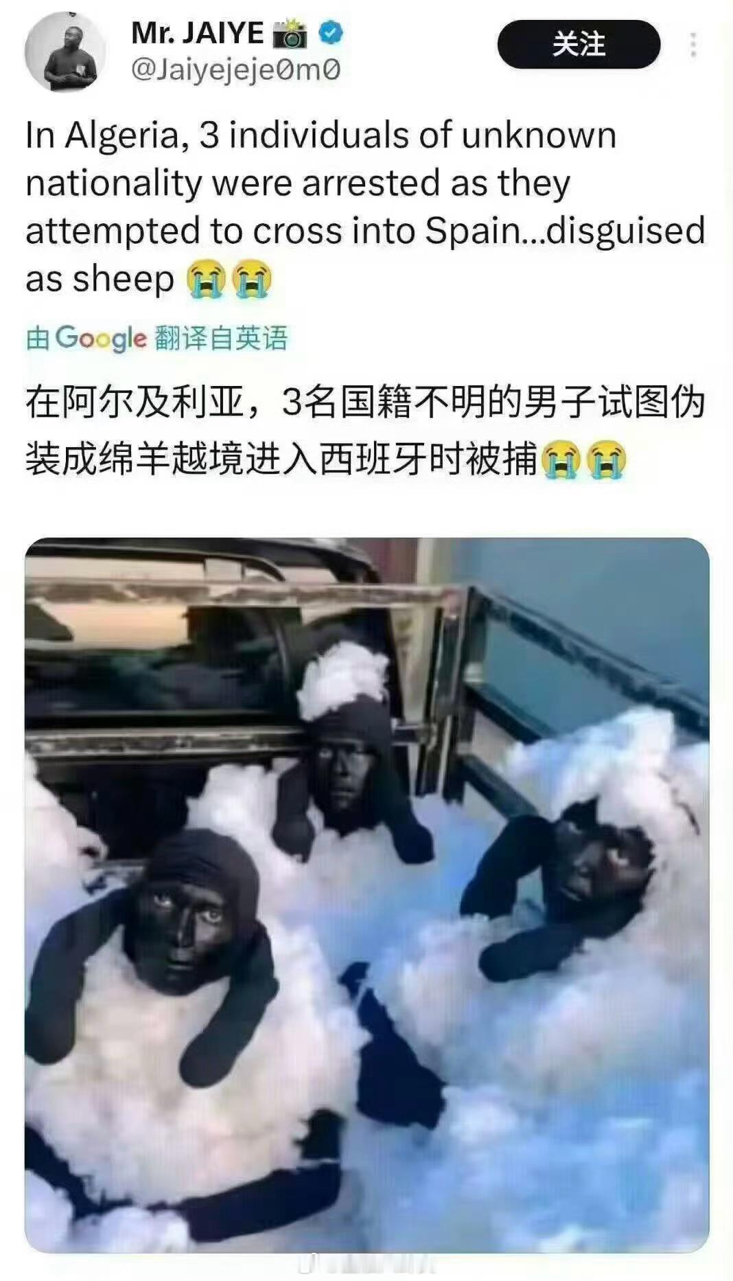 这是不是那个，小羊肖恩