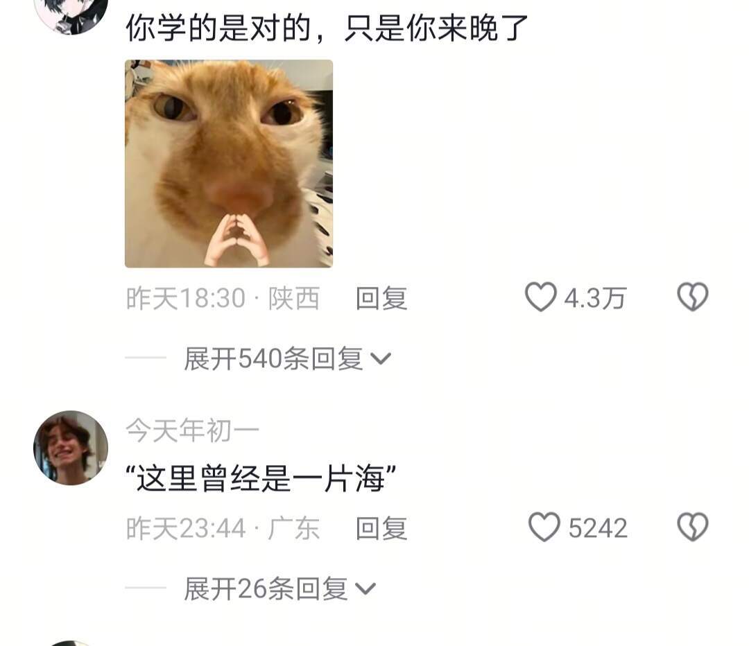 当我拿着学校教的知识进入社会: