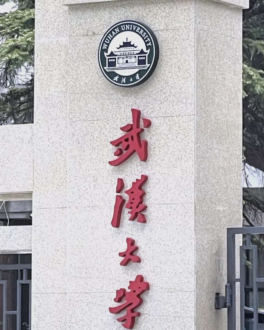 卢克文不光把武大杨某媛的后路给断了，也把今后造谣者可能采取的套路说破了！卢克文