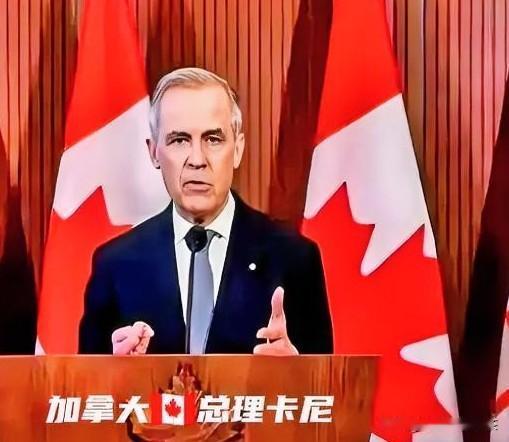 不给美国留面子！加拿大总理卡尼这次是真敢叫板！面对美国财长放风让他撤回达沃斯