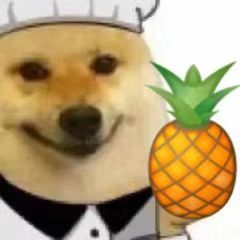 感谢白鹿女士在2025年带来的影视&音乐&综艺精彩表现这一年你的付出和诚意打动