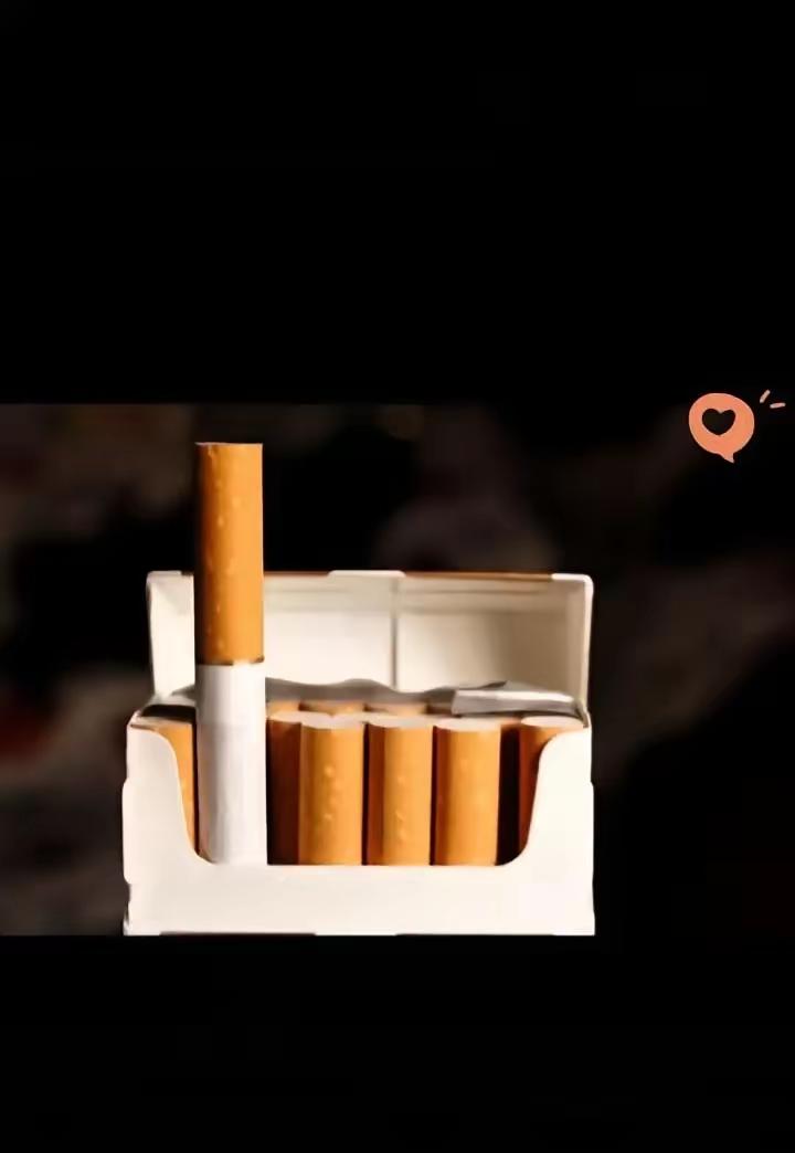 看见这几天“香烟助燃剂”热搜，，真把我看笑了。有人拿上海红牡丹做实验，老版能挺