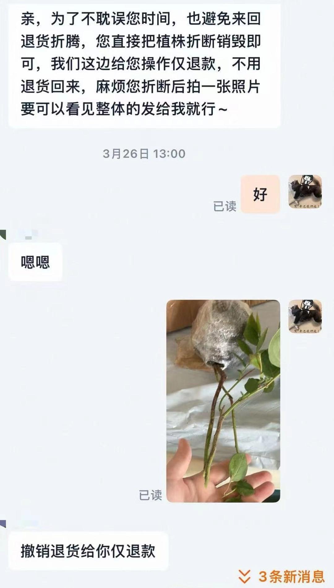 辽宁网友“雨姐”花13.8元买蓝莓苗，退个款竟收到“万古流芳”殡葬用品。