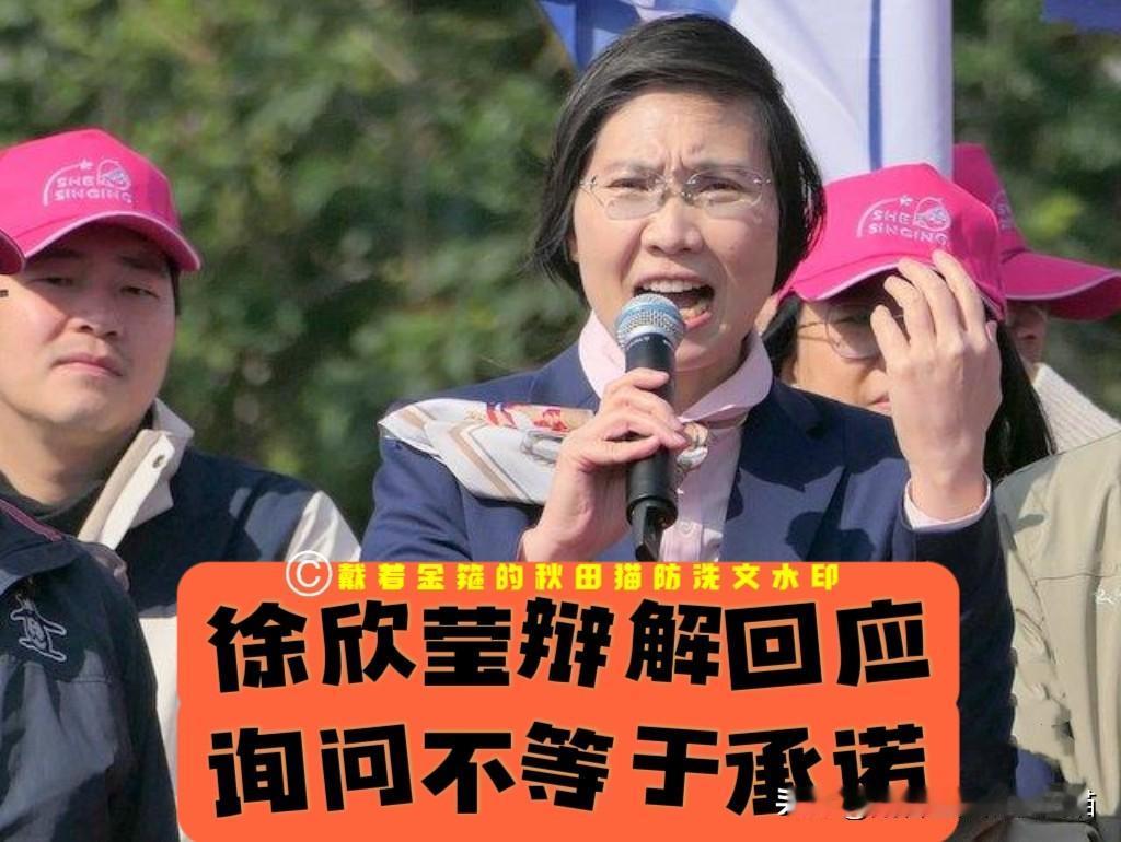 徐欣莹辩解回应黄国昌批评引发民众党不满，蓝白竹北协商破局各说各话，诚信问题成“蓝