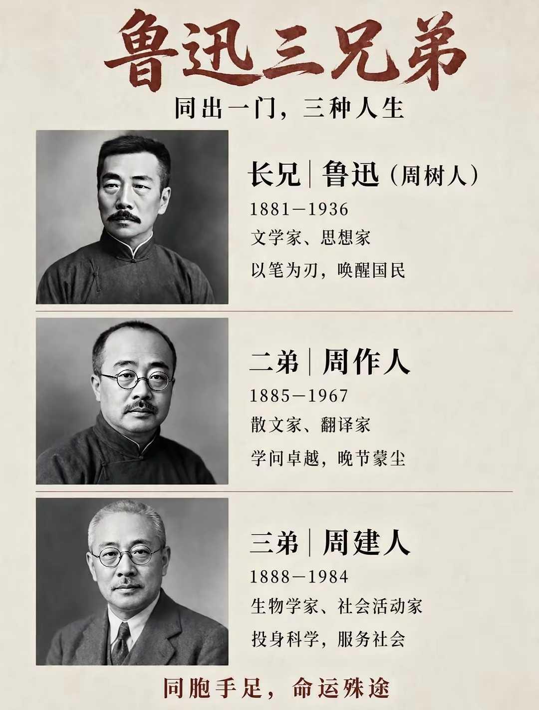 鲁迅三兄弟的不同境遇
