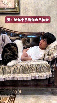 真的被这只小猫咪暖到了！主人一躺下，它就主动过来扒拉胳膊，等着主人把手臂摊开，踏