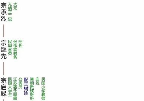 祖上出过二品大员，宗泽后公开宗氏族谱，用传统宗族概念来进行亲情绑架。大清早就亡