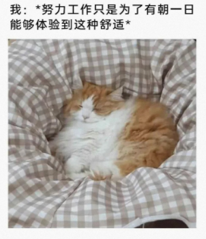 哈哈，也太搞笑了