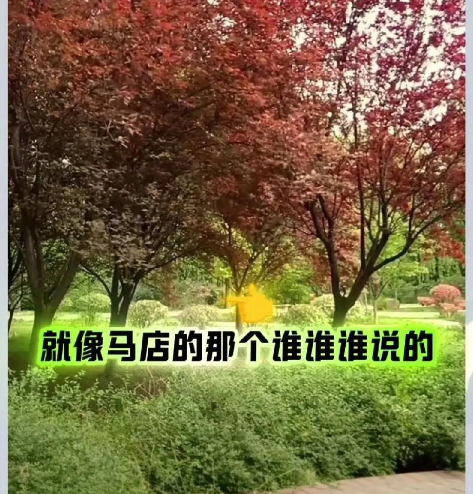 柴桑大姐说正在想办法挽救标杆，不想让她跟马甸儿那个谁谁混下去了，让她及时止损，毕