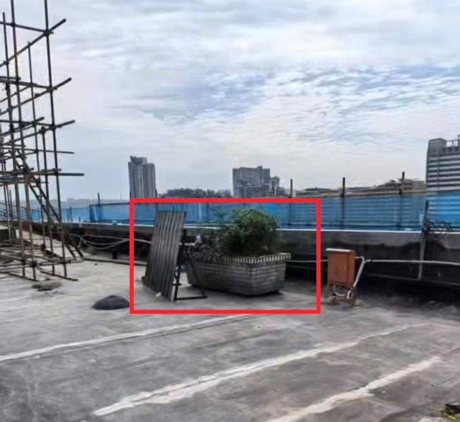 #失踪20多年母亲被砌进花坛#【#失踪20多年被砌花坛受害人儿子发声#：想当庭质