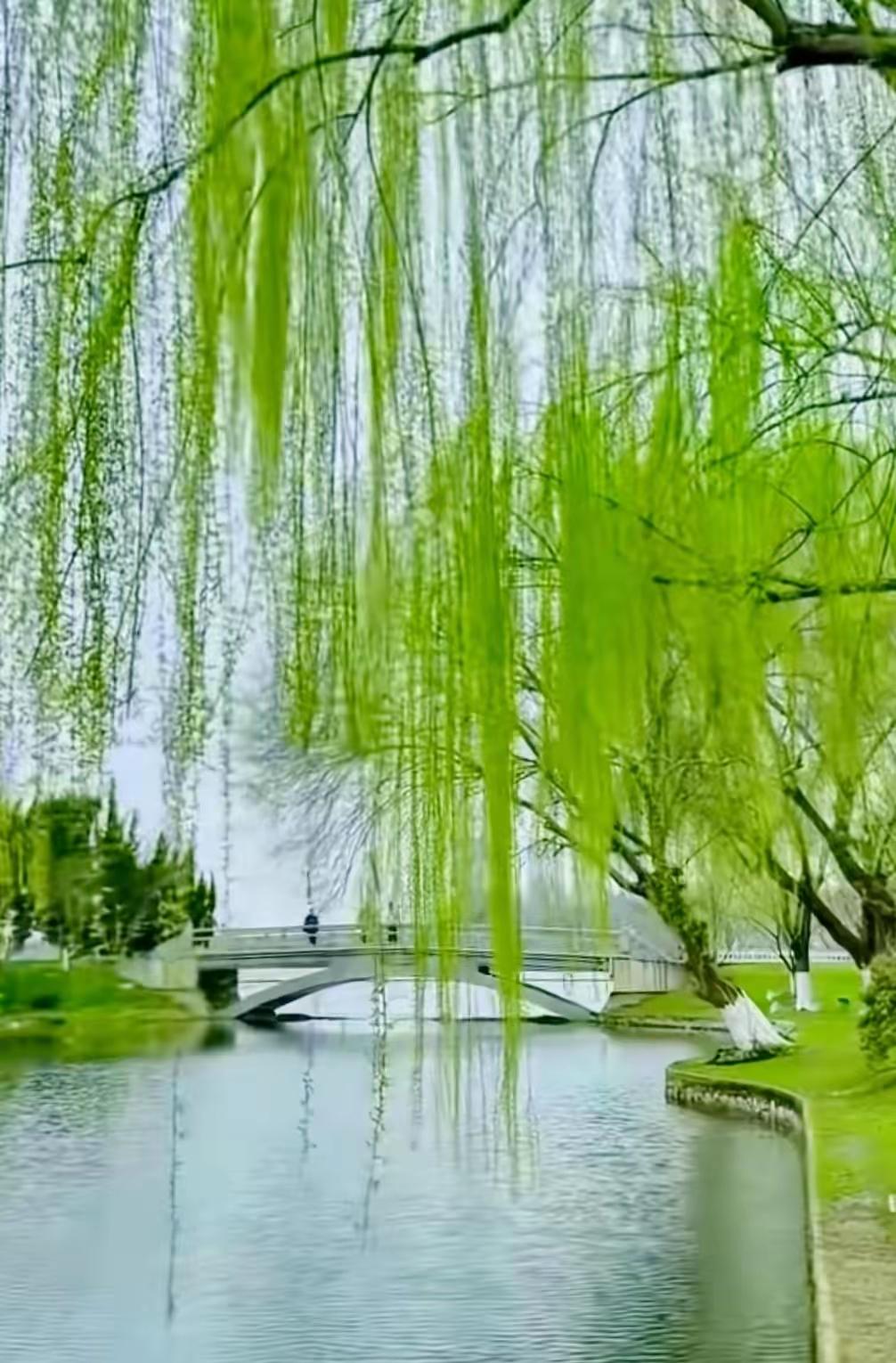 让每一天，在快乐中舒展日子不必轰轰烈烈，也无需事事圆满。真正的生活智慧，是