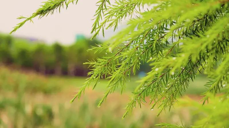 二婚到底幸不幸福，真是个扎心的话题。我有个朋友二婚，找了个带孩子的，她自己也有孩