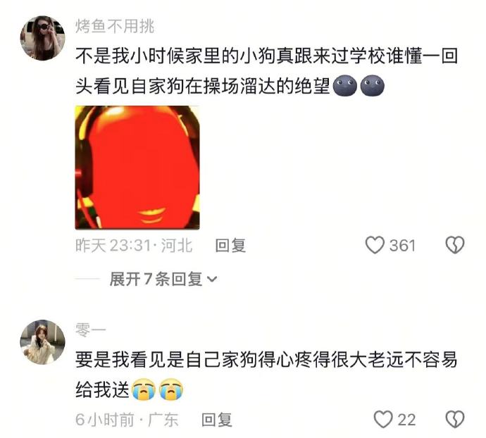 谁懂看见自家狗在操场溜达的绝望