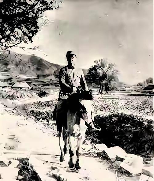 1940年，一位新四军军需处主任被鬼子逼入绝境，他怀里揣着整个队伍的经费。如