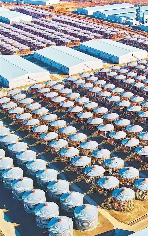 已经准备好了！中国2025年囤积了充足的物资，即便这样，我们还顺差了1.2万亿美