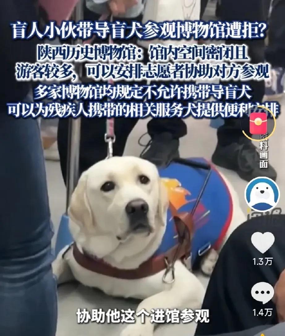 网红盲人博主发视频内涵陕西博物馆，说是带导盲犬进入被拒绝，他称导盲犬属于工作犬，