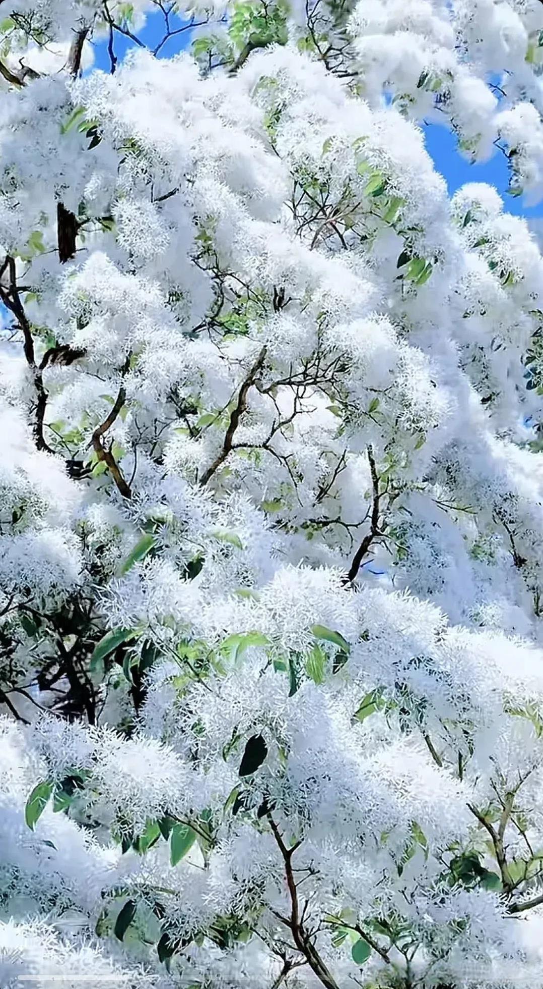 我闺蜜上周离婚了，哭得死去活来说老公变心。结果呢？她全职带娃五年没收入，老公升职