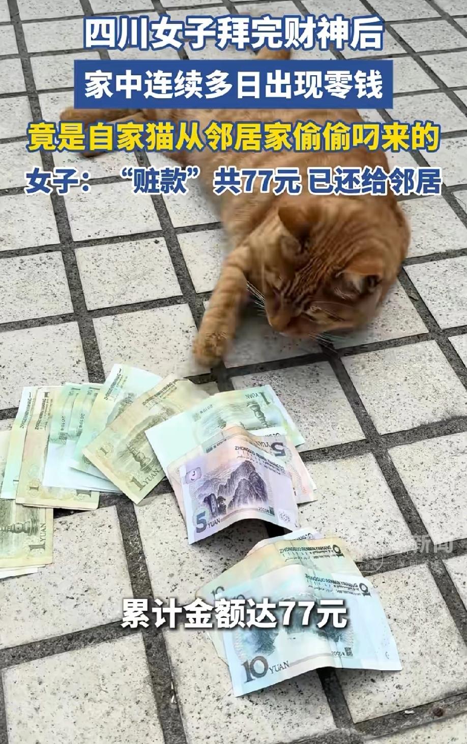 这才是真正的招财猫！四川，女子拜完财神后，发现家里经常出现一些零钱，难不成这是财