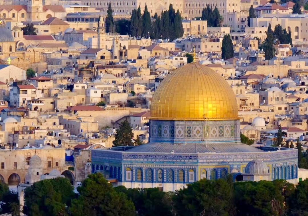 多个伊斯兰国家发布联合声明（3月11日）约旦哈希姆王国、阿联酋、印度尼西亚共和