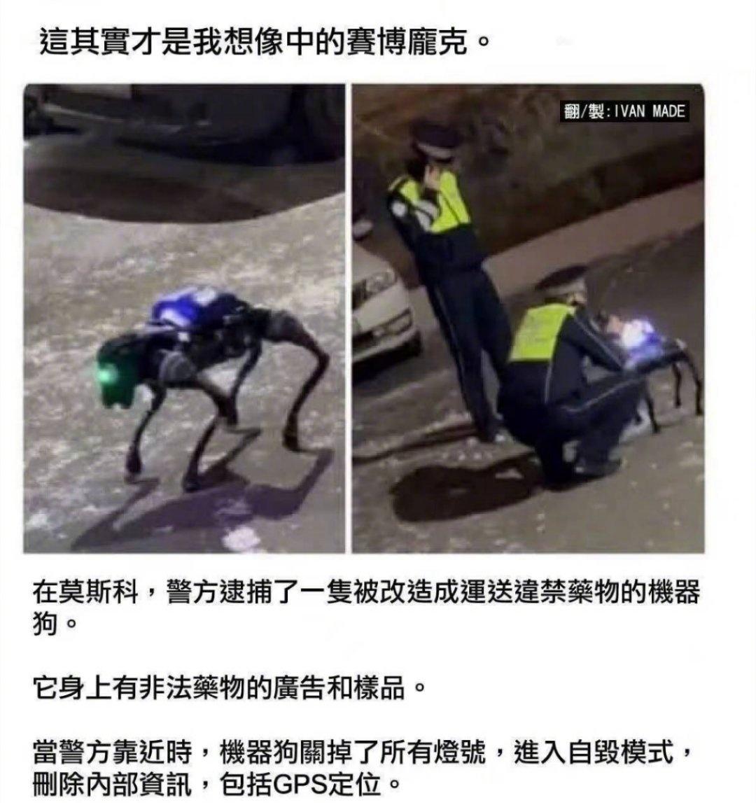 没想到赛博朋克先在狗身上实现了