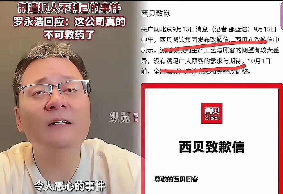 我敢打包票，不光罗永浩没预料到，连贾国龙自己怕是都懵了——西贝刚低头道歉想挽尊，