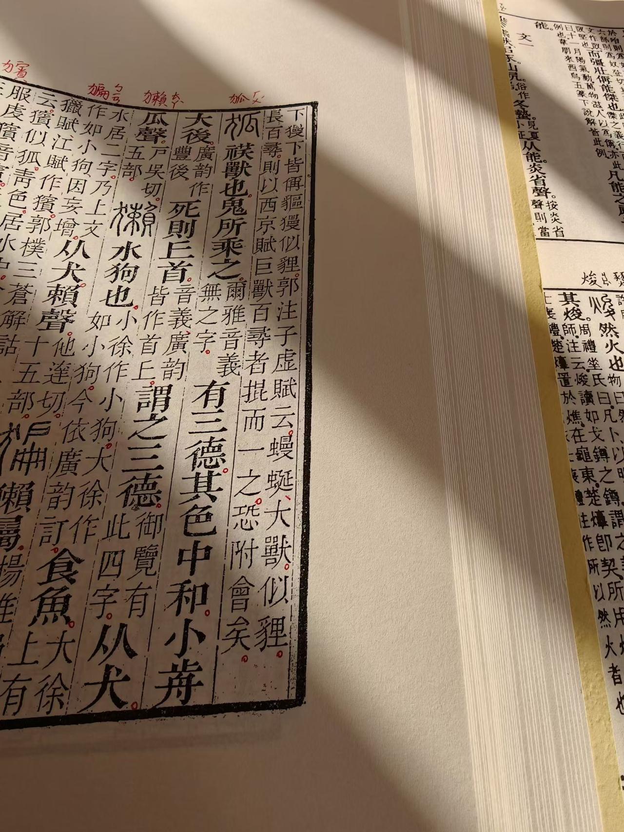 乙巳九月十八立冬日打卡：淑的宝1️⃣甲文《德道经》28-30章读一遍31