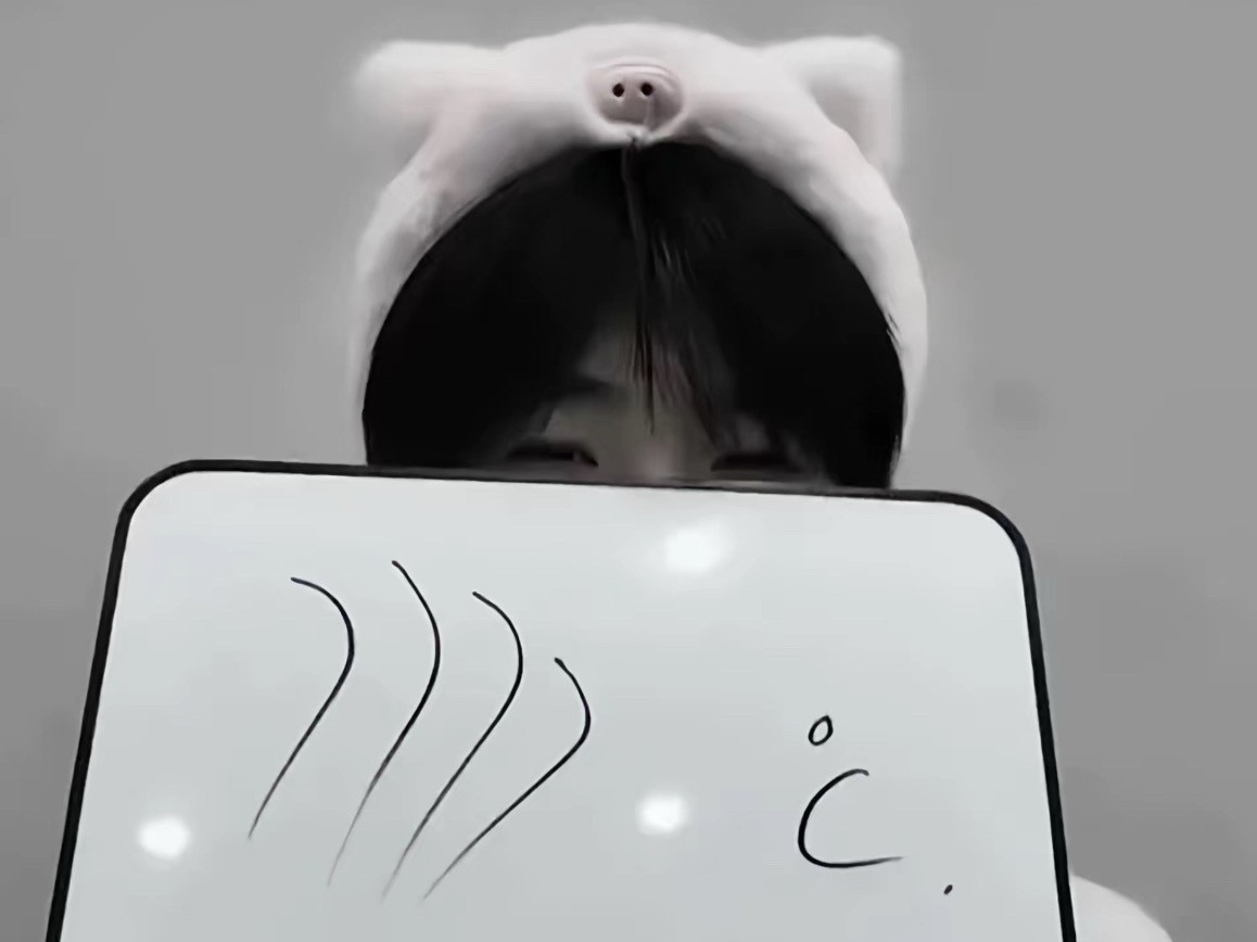 函函是小狐狸