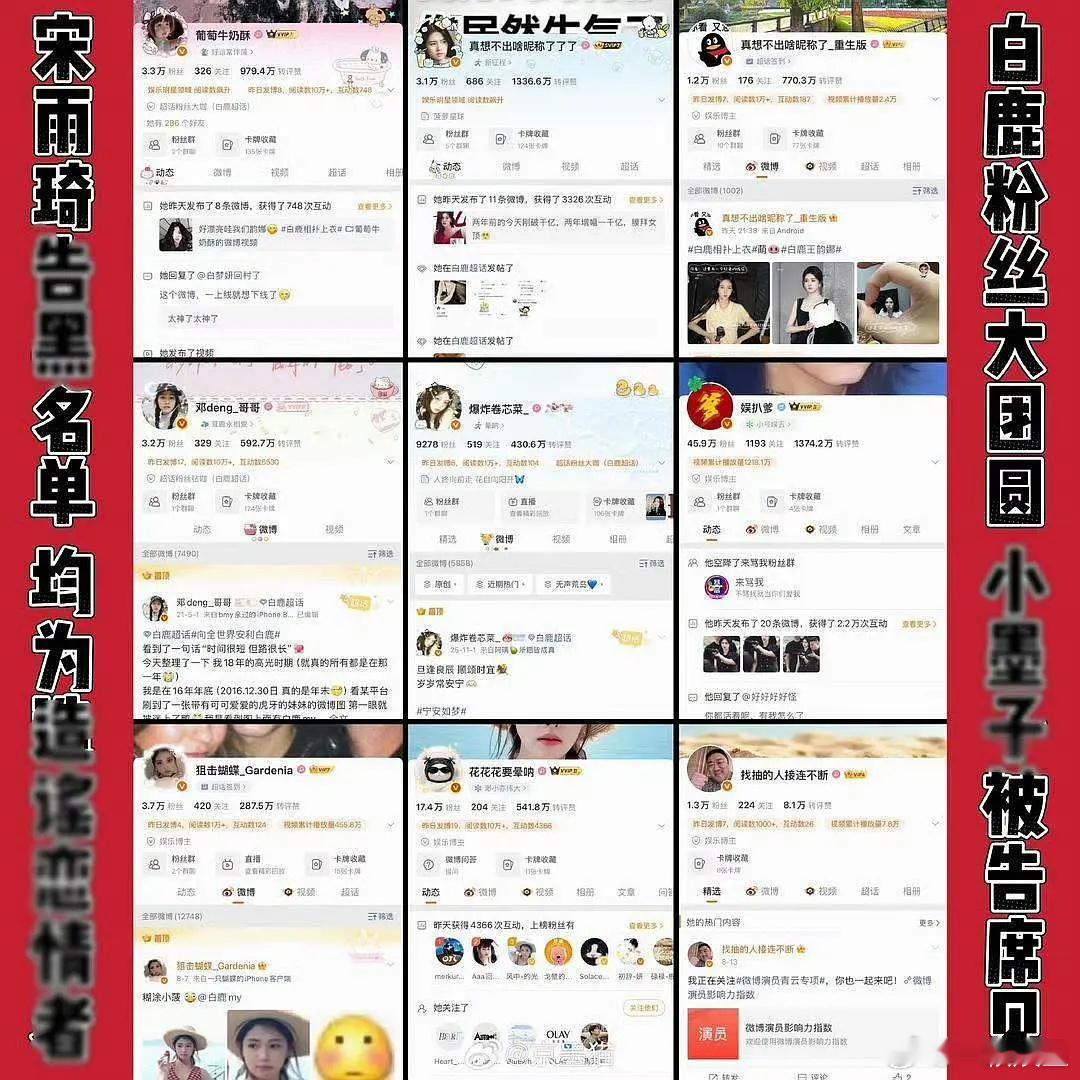 宋雨琦方起诉白鹿粉丝望周知，宋雨琦九年第一次告黑，名单里全是是白鹿大粉，这波造谣