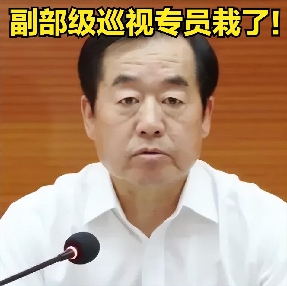 副部级巡视专员栽了！许传智离职后为何还能“变现”权力"离职一年多，以前的权