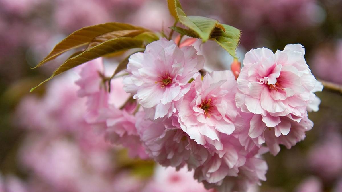 3月28号开始，属兔的人要迎来两件大事。职场权柄落地，情感关系回暖。听着像不