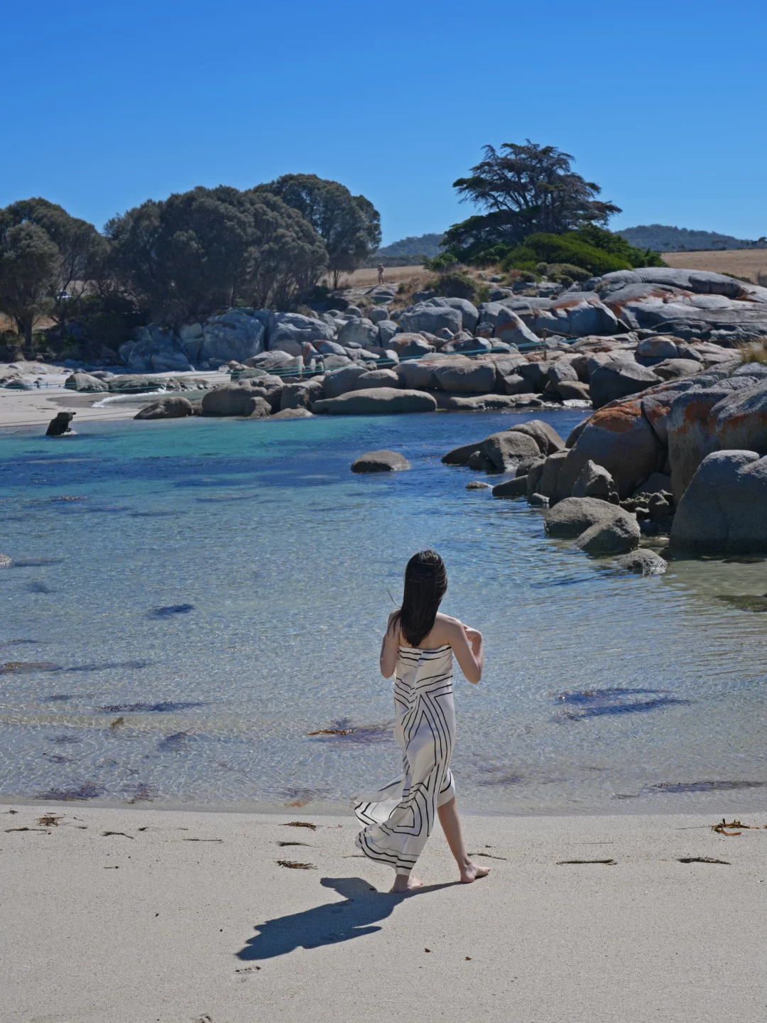 Tasmania🇦🇺在世界尽头拥抱自由（5日攻略）