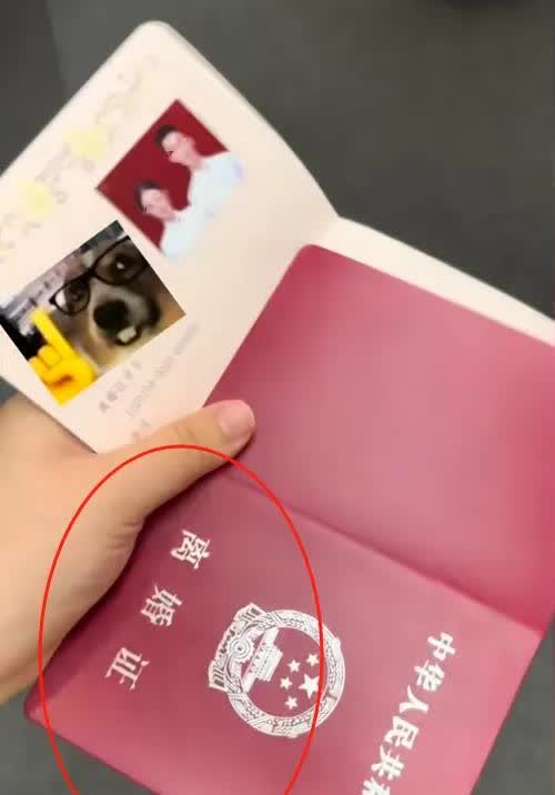 吉林长春一女子与对象成功的喜结连理，步入了婚姻殿堂，两人约好了去民政局领证，还提