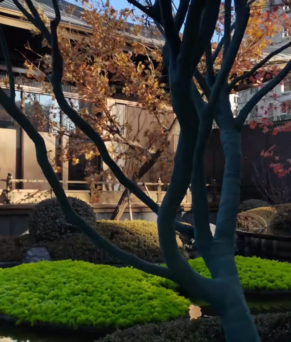 许多人在问，2026年能出手购买京房吗？答案在这里！2026年能在北京出手买