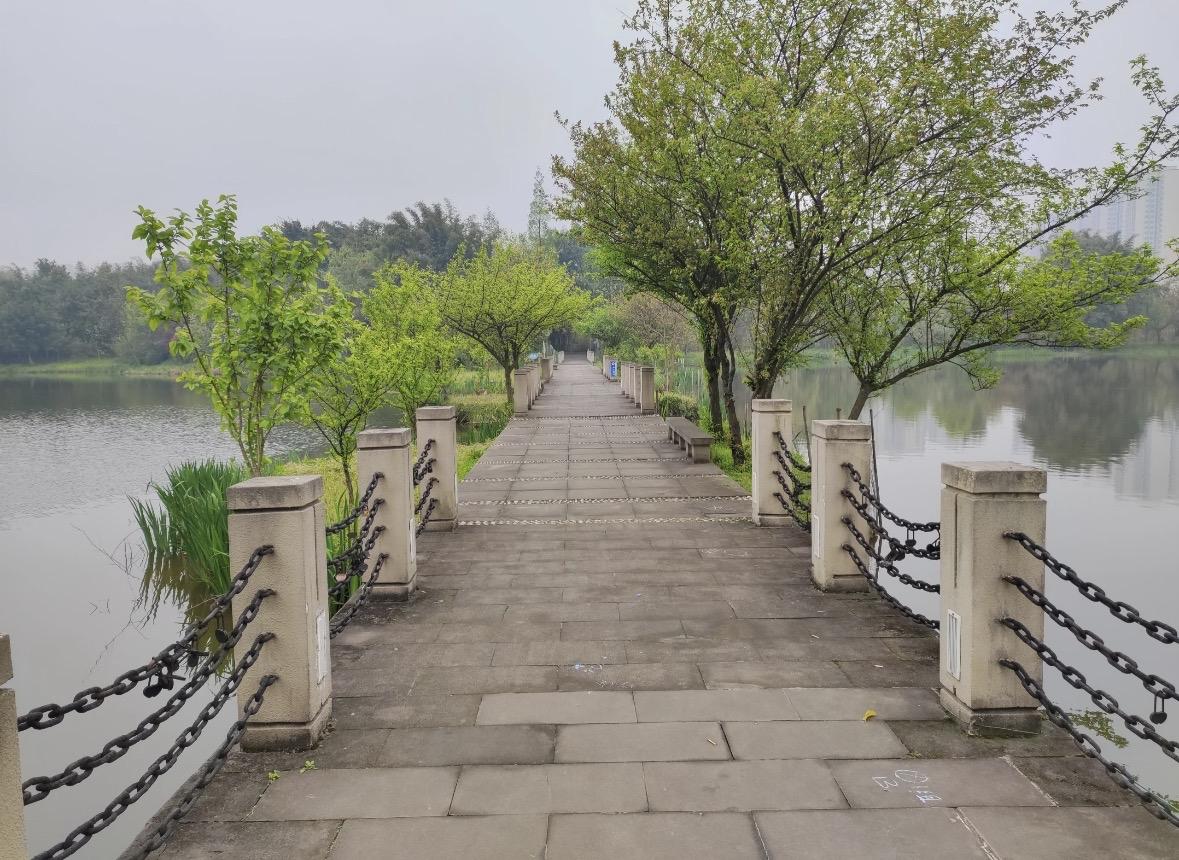 没有兄弟姐妹的人，老了真的更容易吃苦我以前一直觉得，独生子女挺幸福的。资源都