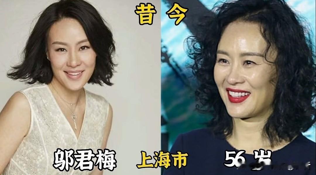 上海这地方，不光经济发达，还盛产美女明星。俺今个就给恁聊聊这几位上海籍女明星