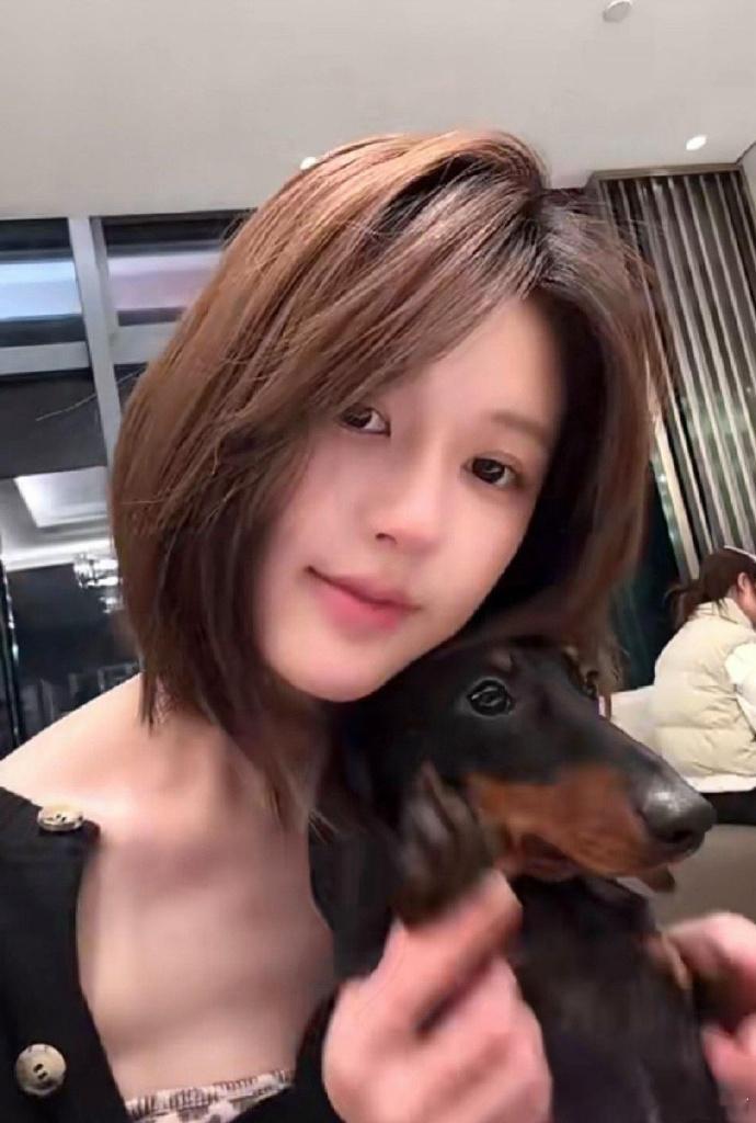 难怪赵露思工作量这么大，恨不得一个人养一个公司