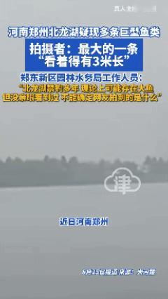 3米巨影现身郑州人工湖，专家说“理论上存在”——但国内记录最大的才1.86米！四
