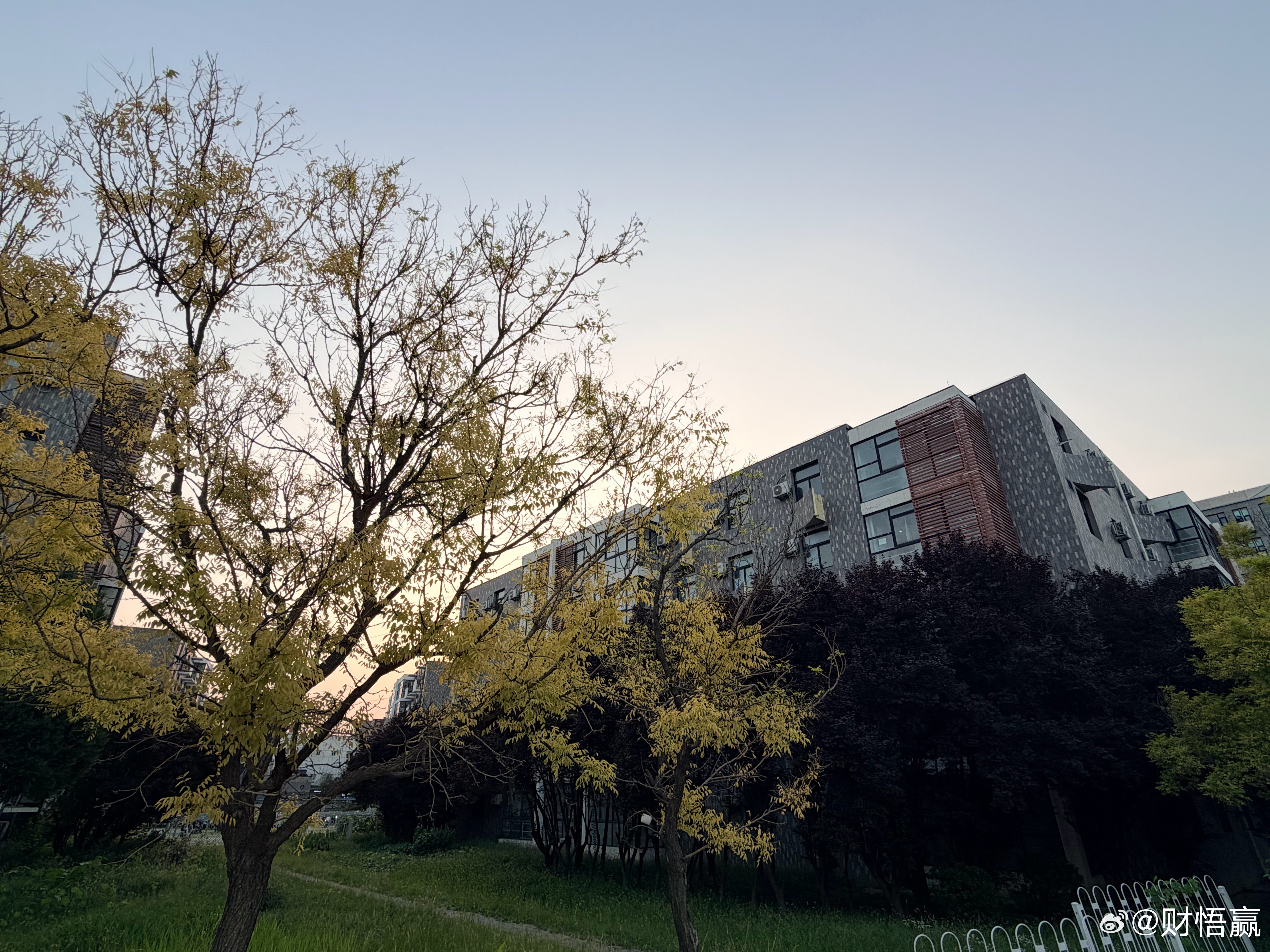 风吹到哪页就从哪页读起北京·北京邮电大学(宏福校区)