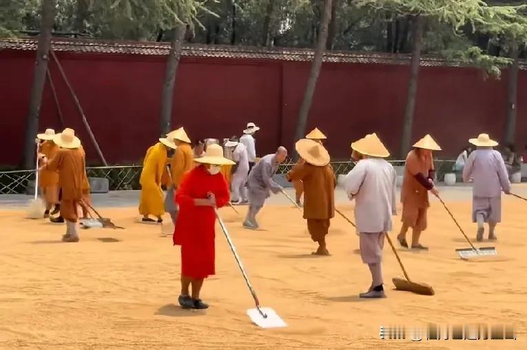 释永信塌房以后，释印乐担任少林寺第31任方丈，​才发现他是一个“狠角色”，400