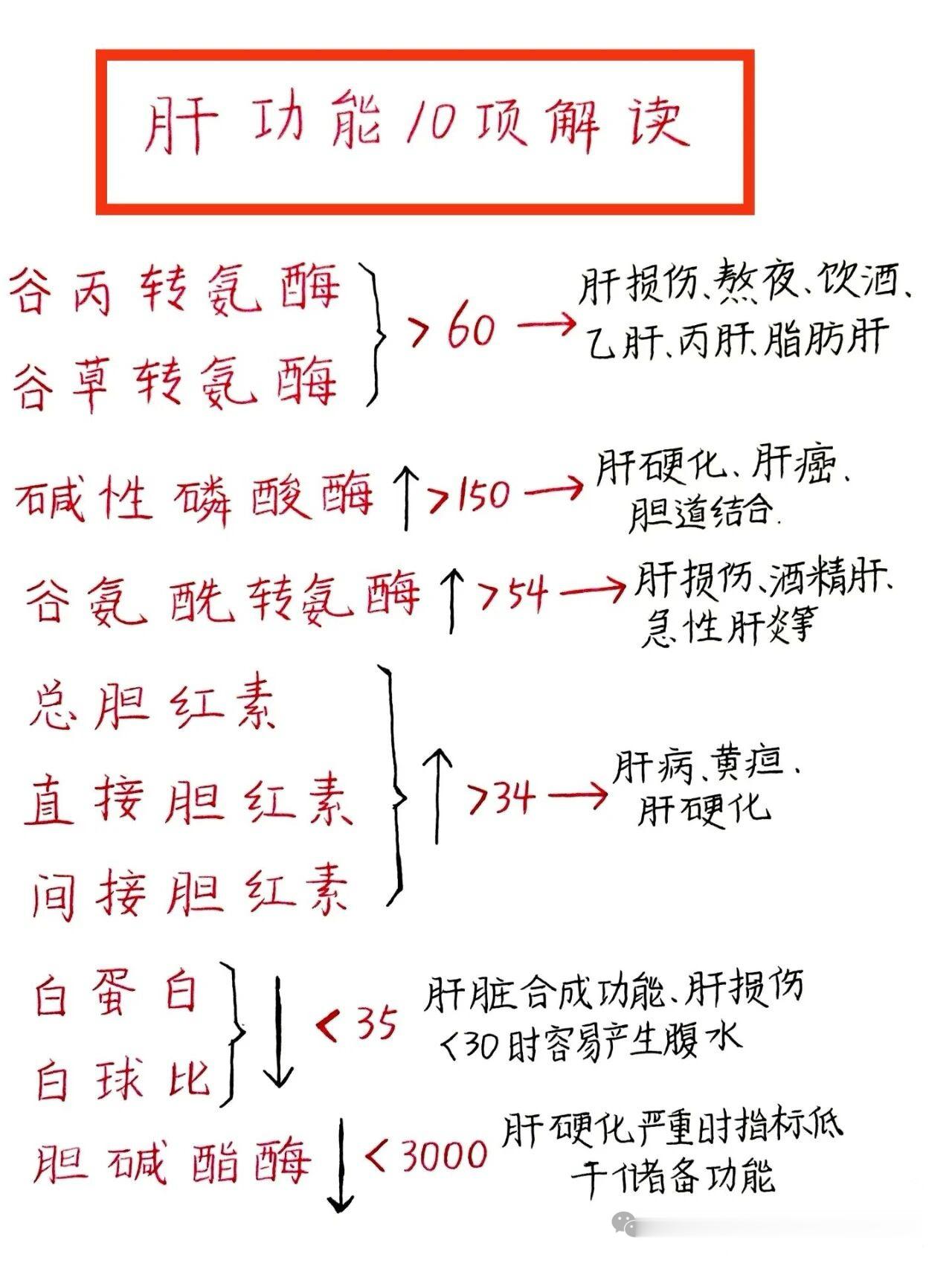 肝功能不会看？一张图看懂，再也不用慌了！✅谷丙/谷草转氨酶：超过80U/