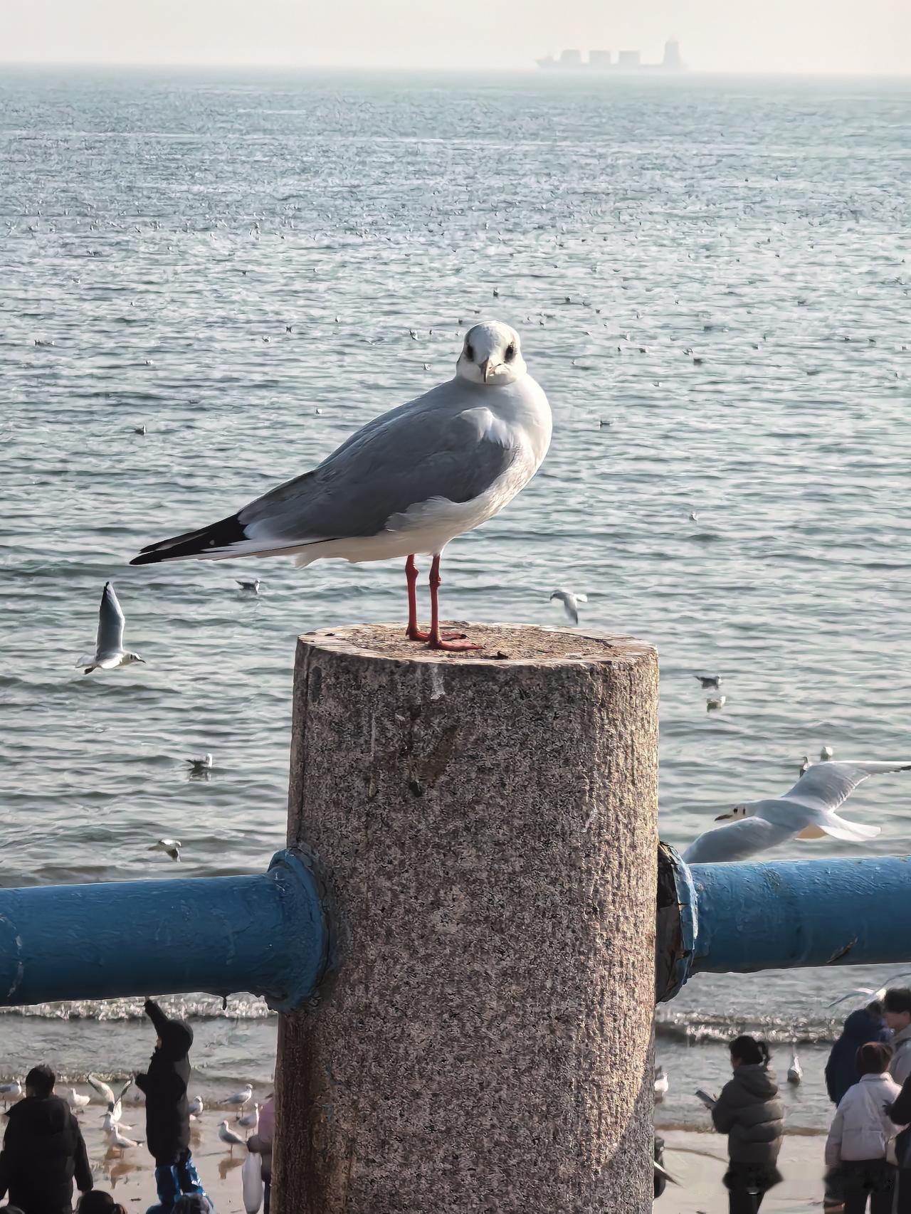 今天股市成交量近2万亿，有什么特点？明天的走势如何表现？今天是2026年2月